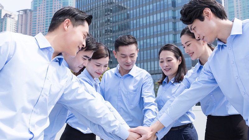 小型企业体系认证标准规范：构建稳固基石的必经之路